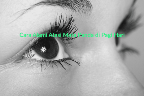 Cara Alami Atasi Mata Panda